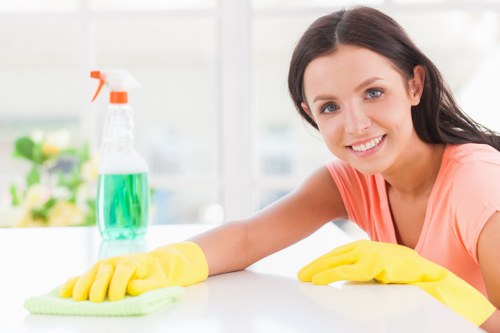 Professional oven cleaning service for a Brompton home kitchen