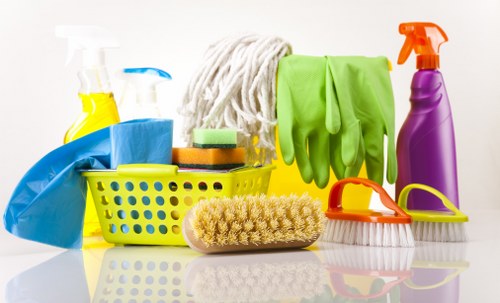 Domestic cleaning service covering Brompton and nearby areas