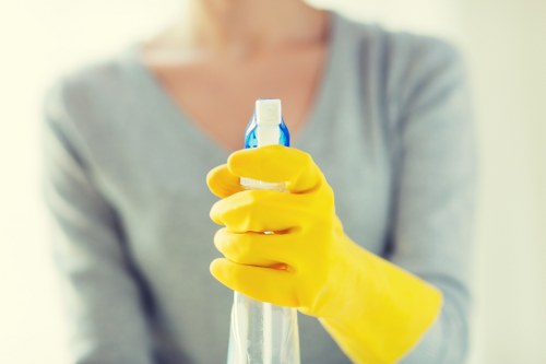 Professional cleaner maintaining a kitchen and bathroom in Brompton
