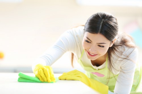 Deep carpet extraction process in a Brompton apartment