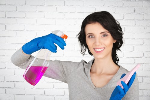 Oven cleaning service for Brompton homes and small businesses